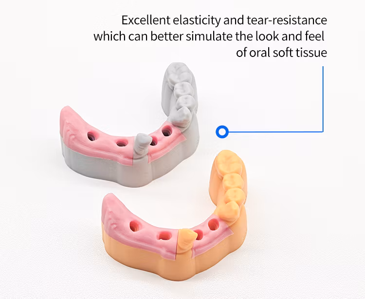 Leyi 3D Printer UV Resin Flexible for Gingiva Mask Gum Model Pink