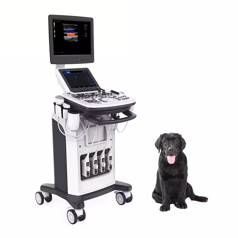 Digital Mobile Veterinary Medical Cardiology Ob Gyn USG Machine Color Doppler 3D 4D Ultrasound Machine Scanner with Printer