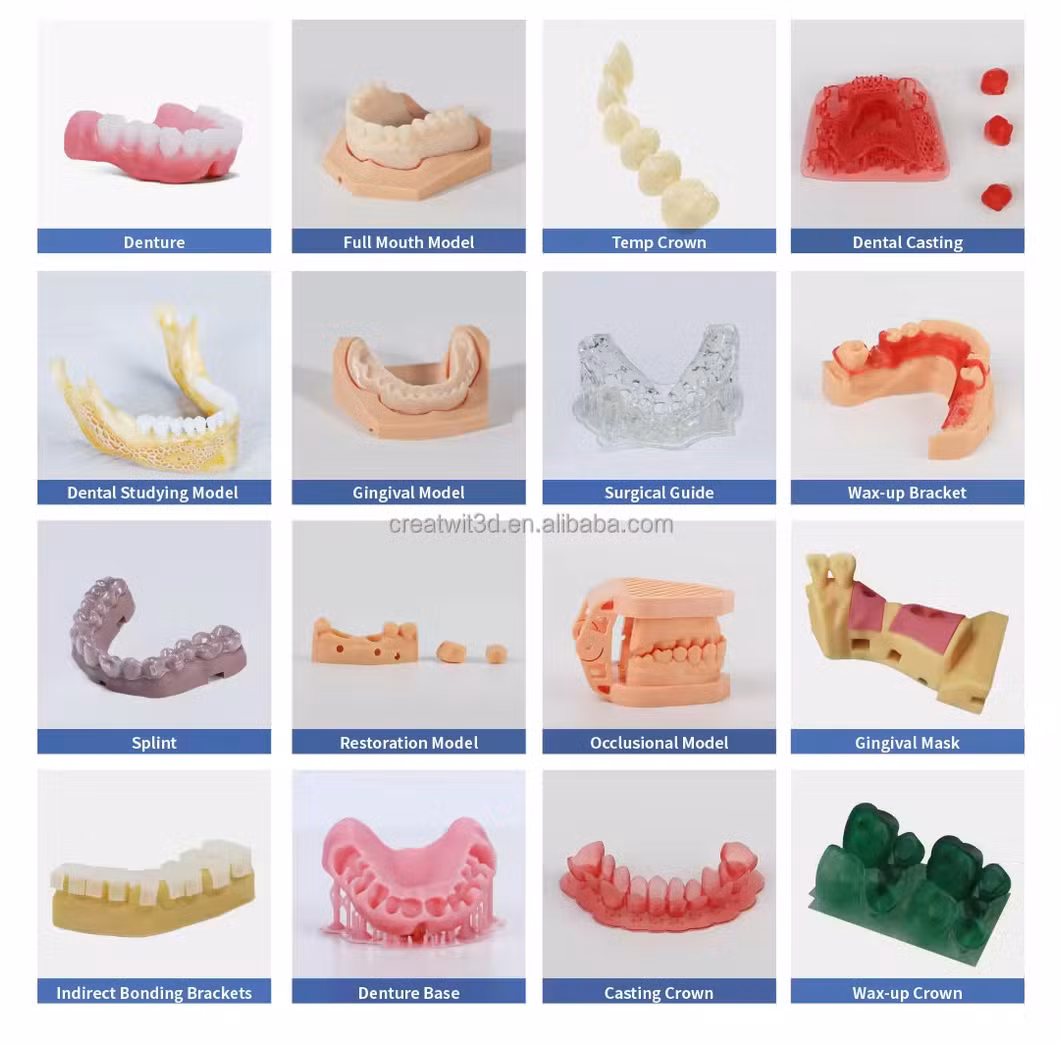 Creality- Pionext Removable Die Model Resin Pn-Rd, Dental Mold Material Rigid UV Resin, High Quality 3D LCD Printer Mould