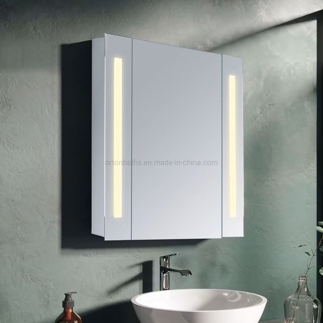 Ortonbath LED Bathroom Mirror Cabinet, Silver Bathroom Cabinet with Mirror, Medicine Cabinet for Bathroom, with Demister Pad, Dimmer, Adjustable Shelves