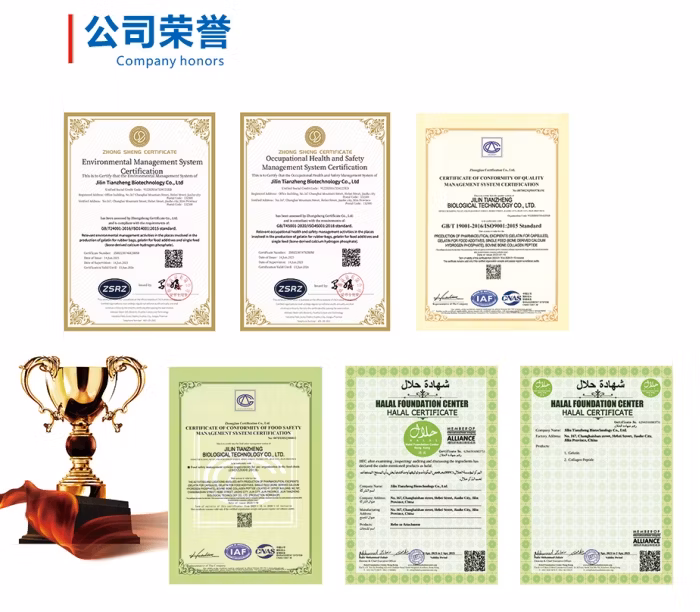 Wholesale Offers of Bovine Collagen Protein Powder for Enhancing Food Supplements