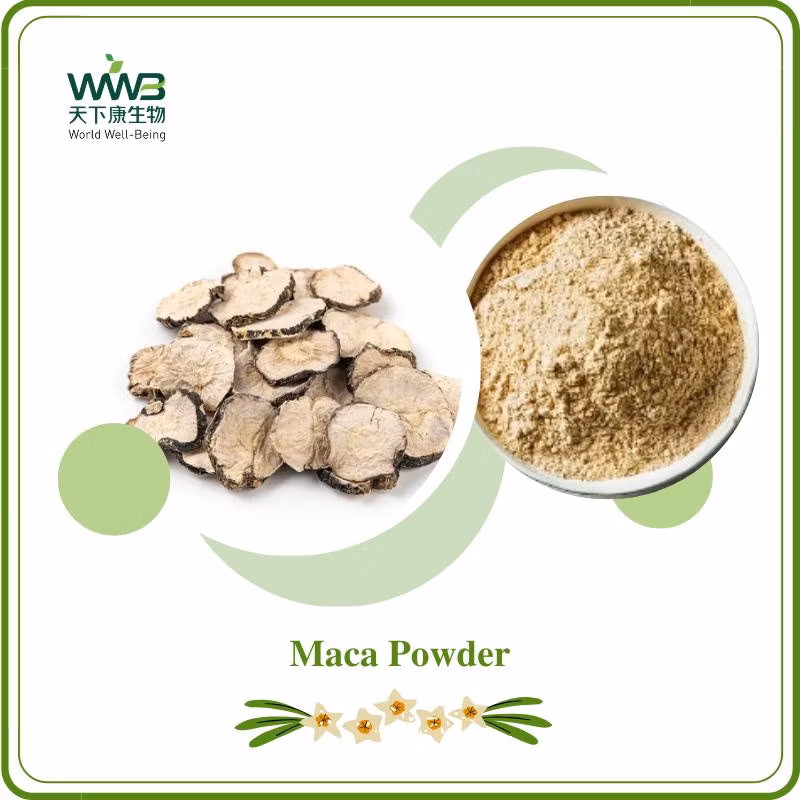Reducing Fatigue 100% Natural Herb Powder Maca Powder Spray-Dried Instant Powder Pharmaceutical Grade /Health Food/Food Additive Maca Powder