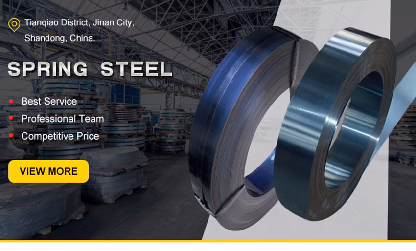 Spring Steel Manufacturing Flat Spring Steel Strip Stainless Steel Gas Spring Stainless Steel Spring Clip for Pipe Mounting
