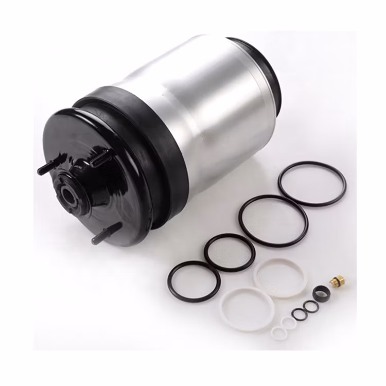 Factory Direct Sale Rear Air Suspension Shock Air Absorber Strut Spring for Discovery 3&4 OEM Rpd501110 Car Spare Kit