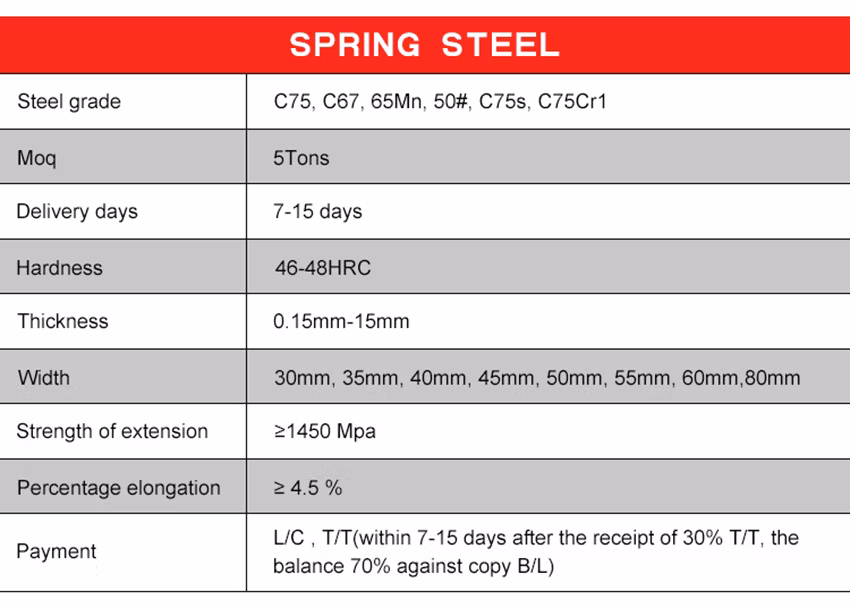 Spring Steel Manufacturing Flat Spring Steel Strip Stainless Steel Gas Spring Stainless Steel Spring Clip for Pipe Mounting