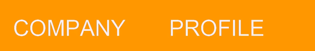 SLS-FL001 PU Injection Moulding Cow Grain Nubuck Upper Leather Work Shoes Safety Boots