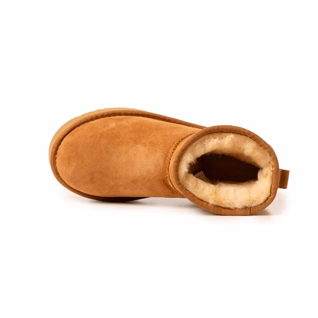 Genuine Sheepskin and Fur Integrated 5854 Thick Soled Raised Snow Boots for Women′s Pure Wool Insulation Short Cotton Boots