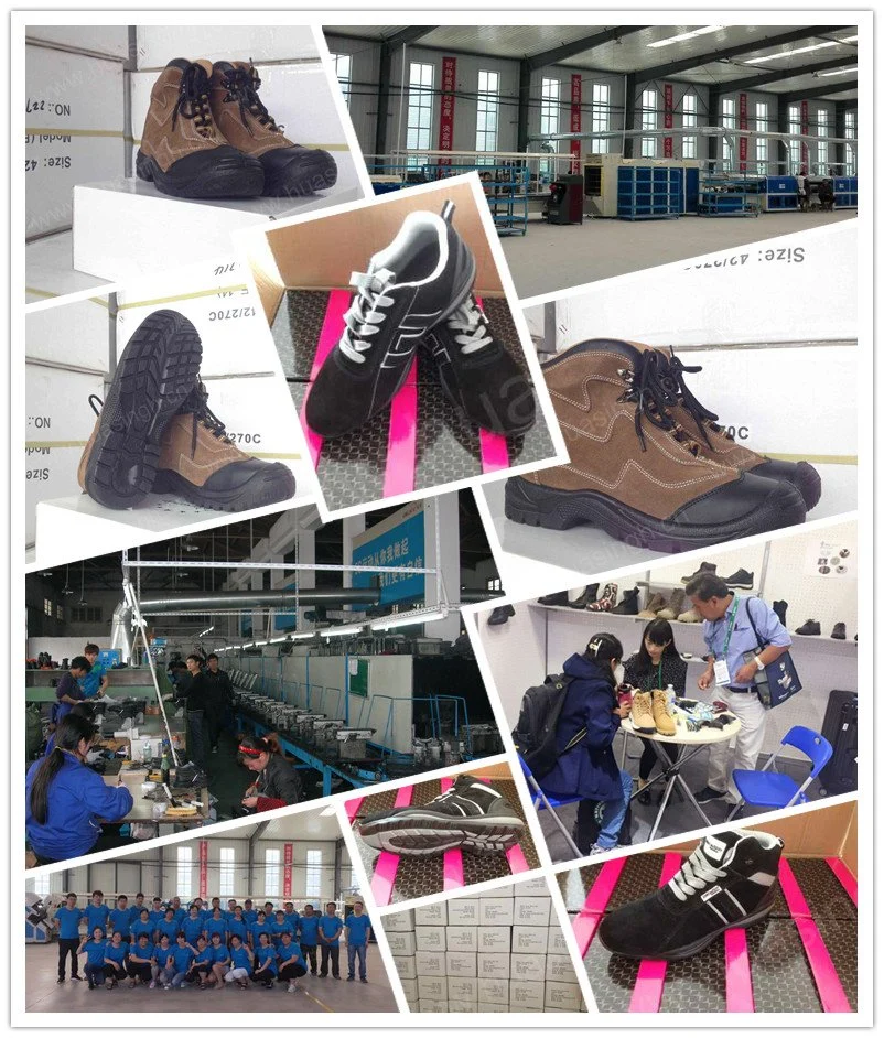 Gww, Affordable Price Lightweight Knitted Fabric Blue Sport Safety Boot Double Color PU/PU Injection Outsole Hiking Boot Popular in Poland HSS454