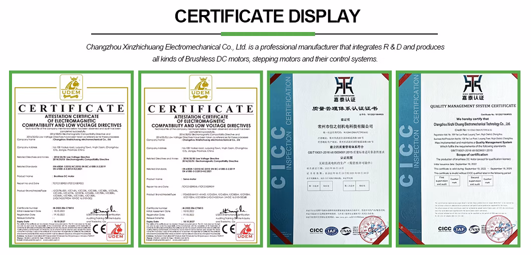 Xzc Electric Permanent Magnet Induction DC Servo Speed Control Motor