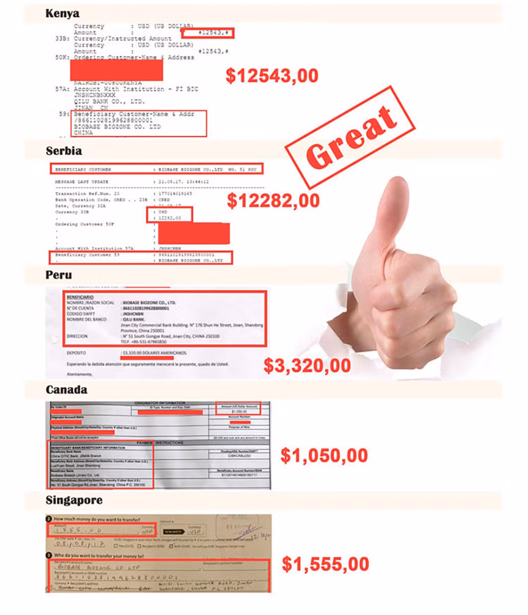 Biobase Automatic Chemiluminescence Immunoassay System High Precision for Lab