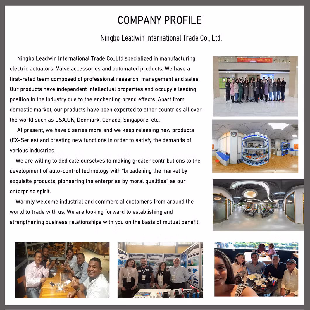 4-20mA 2 Way PVC True Union Explosion Proof Modulating Ball Valve Electric Actuator Ball Valve with Ss Bracket