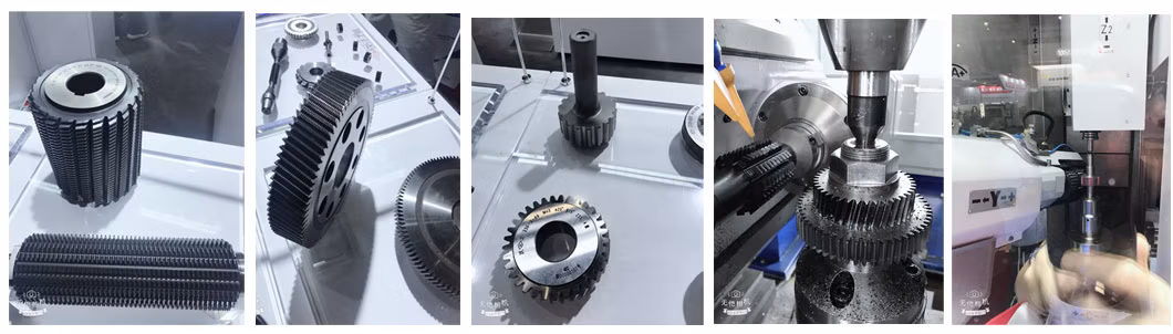 High Wear Resistance CNC Machine Dry Cutting Involute/Worm Gear Hob Cutter
