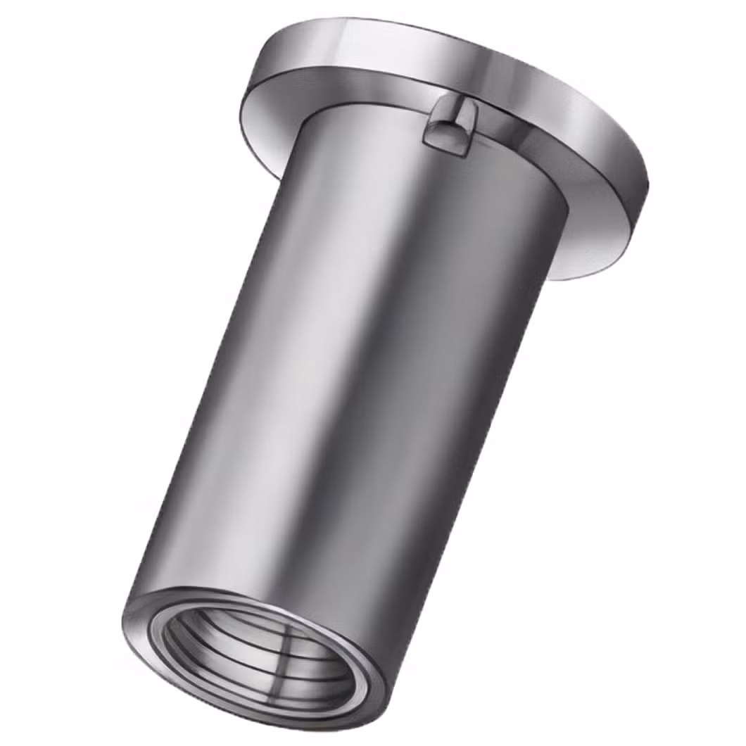Maoxun Steel Blind Rivet Nut China Distributors Obm Customized Screw Thread Inserts CBN Coating Custom Threaded Inserts Used for CNC Milling