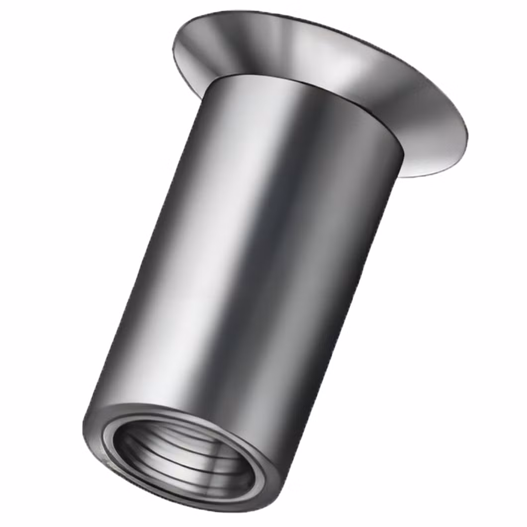 Maoxun Steel Blind Rivet Nut China Distributors Obm Customized Screw Thread Inserts CBN Coating Custom Threaded Inserts Used for CNC Milling