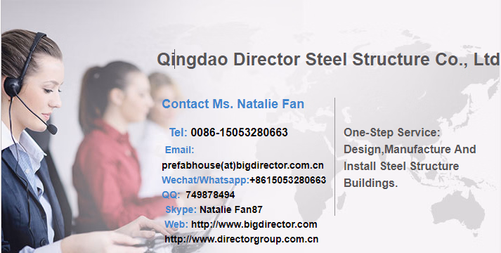 China Metal Storage Sheds Steel Structure Hangar Prices Prefabricated Sports Hall