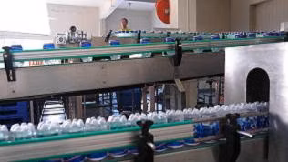 Soft Drink/Carbonated Supplier 350ml Canned Apple Flavored Sparkling Water Made in China