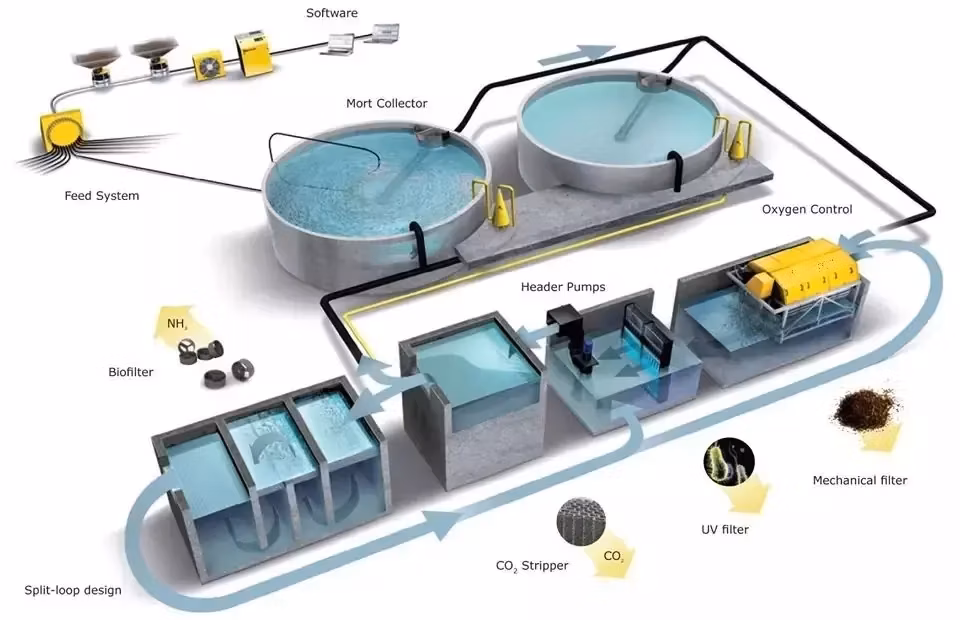 Bio Fish Pond Filter System Plastic Floating Bio Filter Media Mbbr for Water Treatment