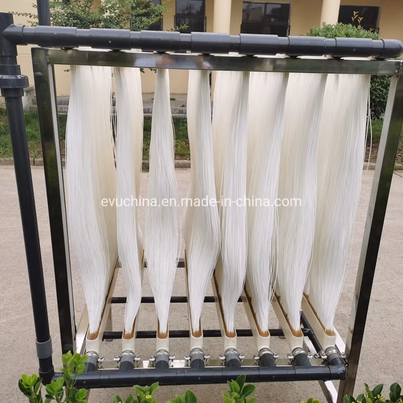 Pharmaceutical Industry Waste Sewage Treatment Equipment Mbr/Mbbr Membrane Water Purification Systems Tank Waste Water Purifying Machine Water Treatment Plant