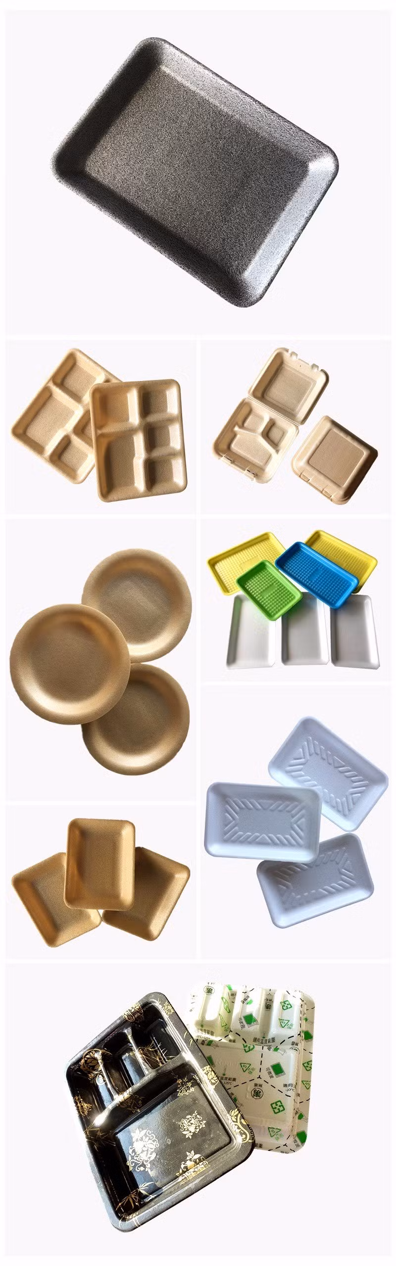 Lowest Factory Price PLA Compostable & Biodegradable Safe Packaging Food Tray