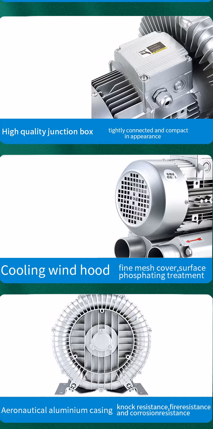 Industrial Adsorption 3kw High-Pressure Vortex Cyclone Machine for Aquaculture