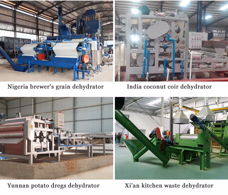 Hot Selling Belt Filter Press Price for Coconut Coir Treatment Equipment