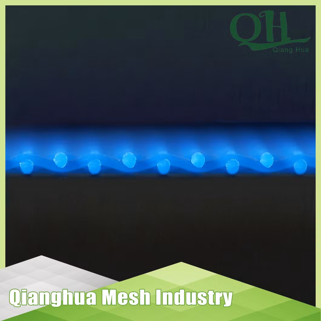 Polyester Mesh Belt Thickener Hole 2mm Screen Filter Press Sludge Dewatering