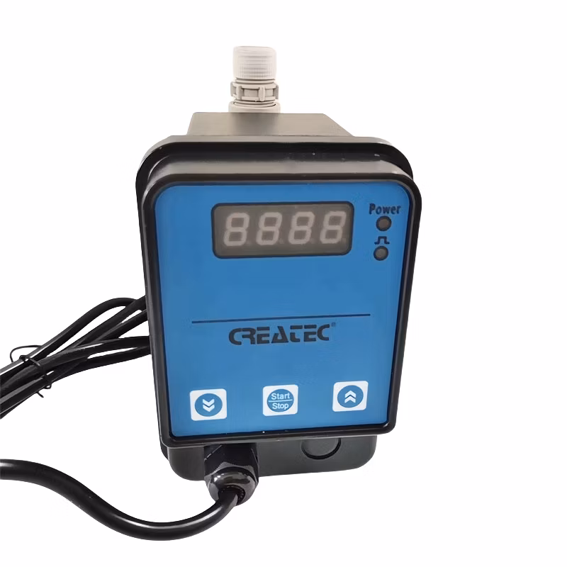Chlorine Dioxide Acid Corrosion Resistant Dosing Device Pulse Pump