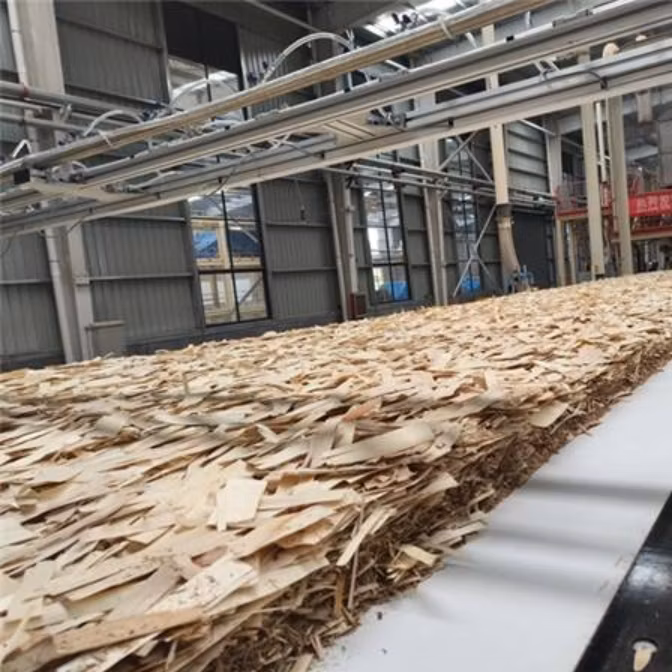 Polyester Sludge Dewatering Belt Press Filter Conveyor Belt