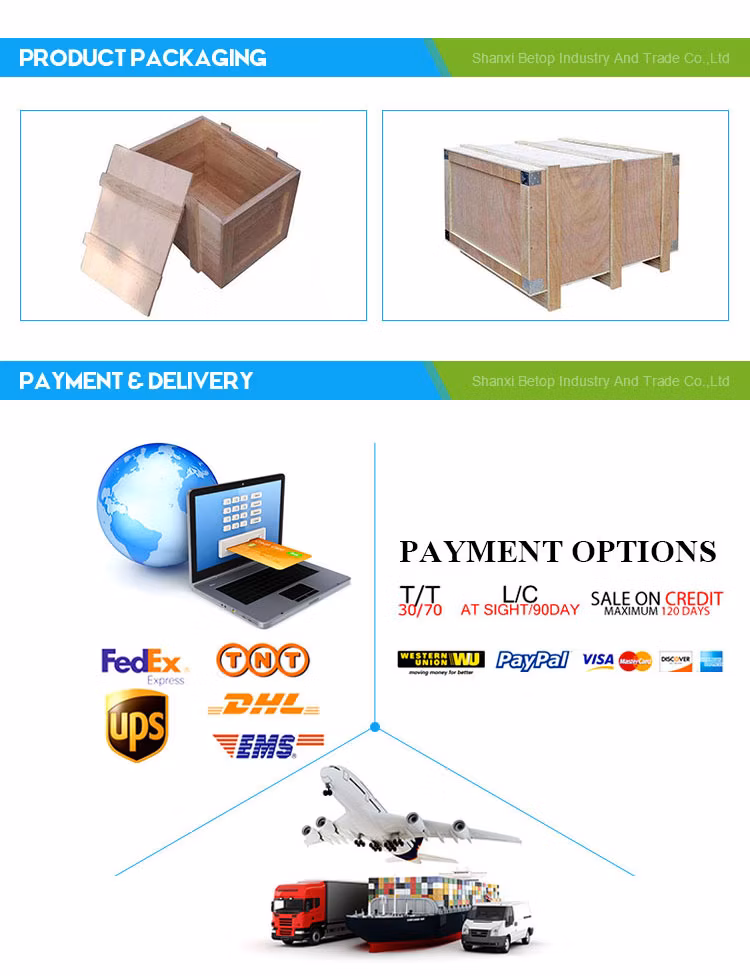 Portable Rubber Conveyor Belt Splice Platen Vulcanizing Press Machine