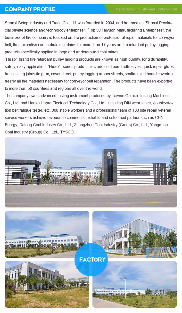 Portable Rubber Conveyor Belt Splice Platen Vulcanizing Press Machine