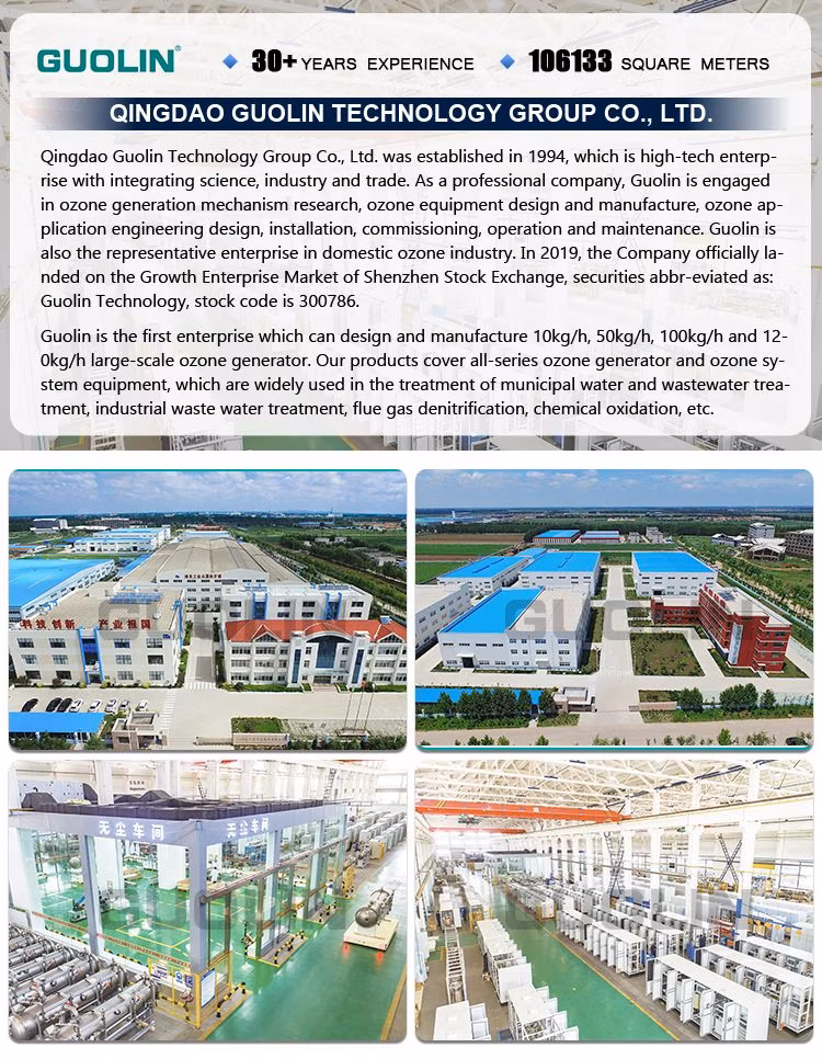 1kg Aquaculture Ozone Generator Machine for Industrial Water Treatment Project