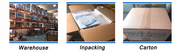 Swimming Pool Filter Equipment Water Automatic Chemical Dosing System for Sewage Treatment
