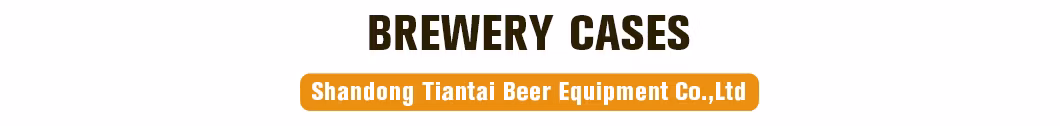 3000L 2-Vessel Full Automatic Controlled Direct Fire Heating Beer Brewing Equipment