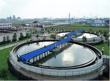 HDPE Material K1 K2 K3 K5 Mbbr Filter Meia PE75 PE08 for Aquarium and Sewage Treatment