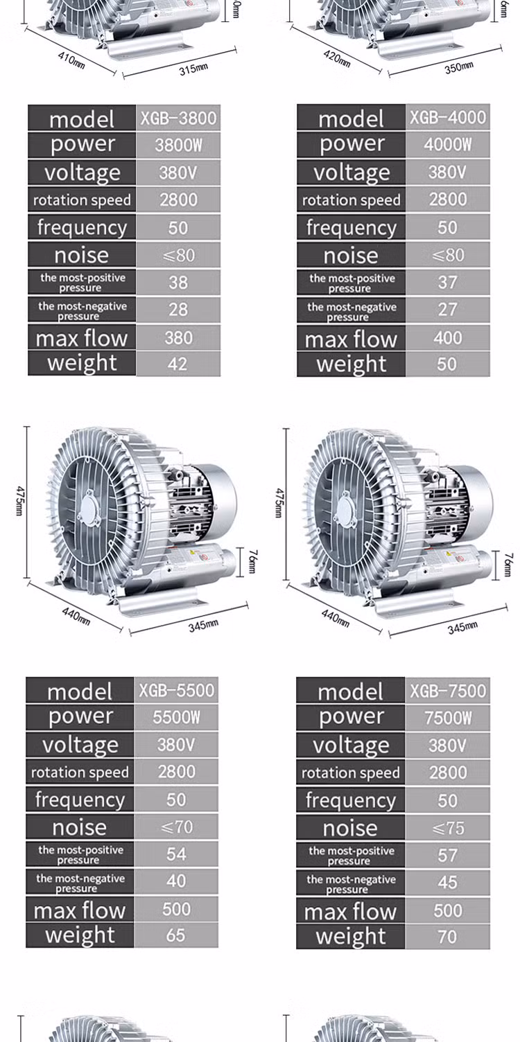 Industrial Adsorption 3kw High-Pressure Vortex Cyclone Machine for Aquaculture