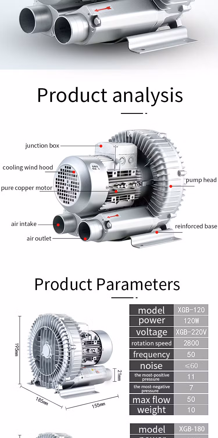 Industrial Adsorption 3kw High-Pressure Vortex Cyclone Machine for Aquaculture