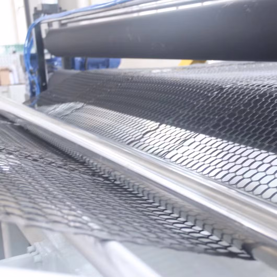 Plastic Rigid Flat Mesh Extruder Chicken Cage Aquaculture Multi-Purpose Net Making Machine