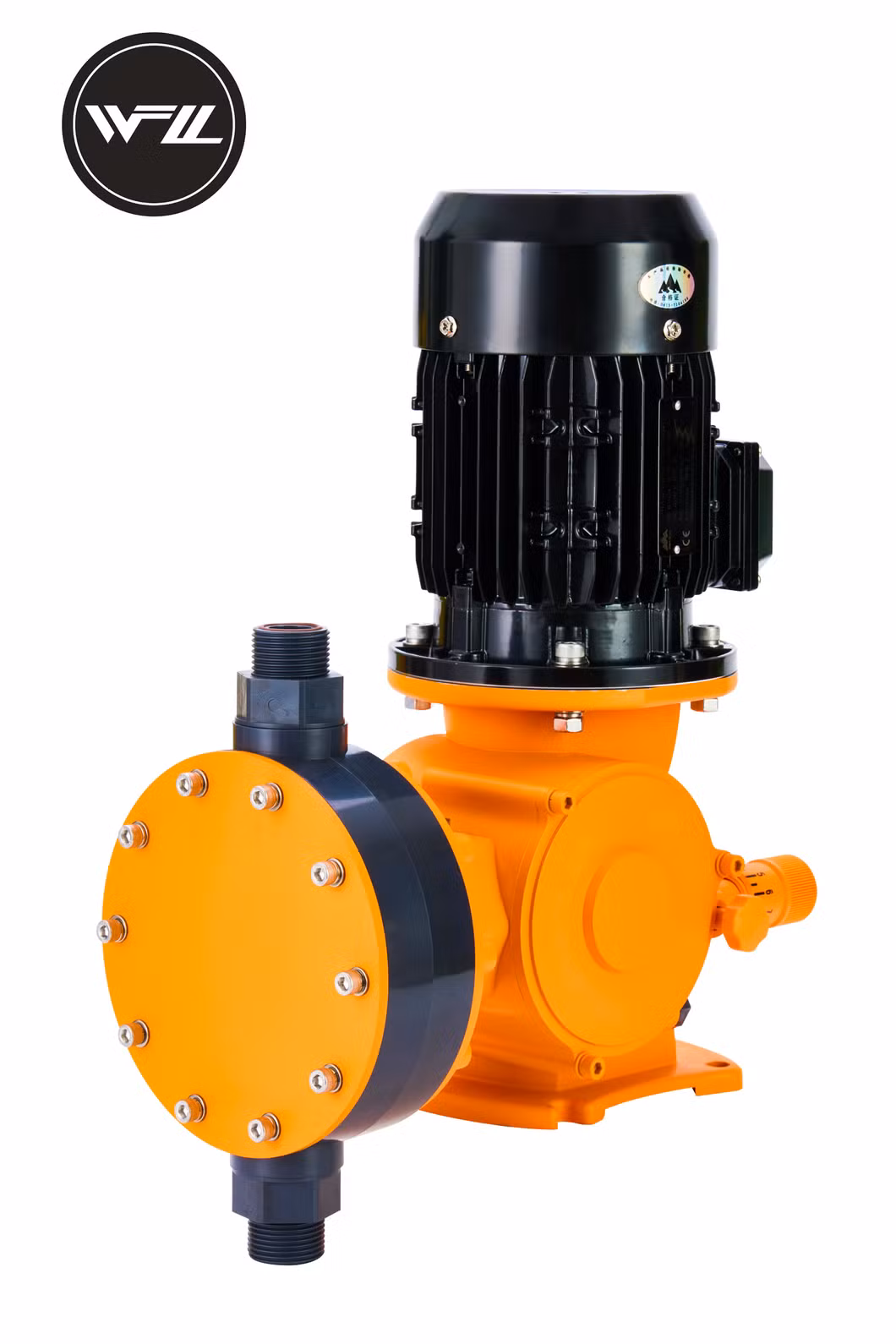 China Manufacturer Supply High Quality Good Price Electromagnetic Diaphragm Metering Pump