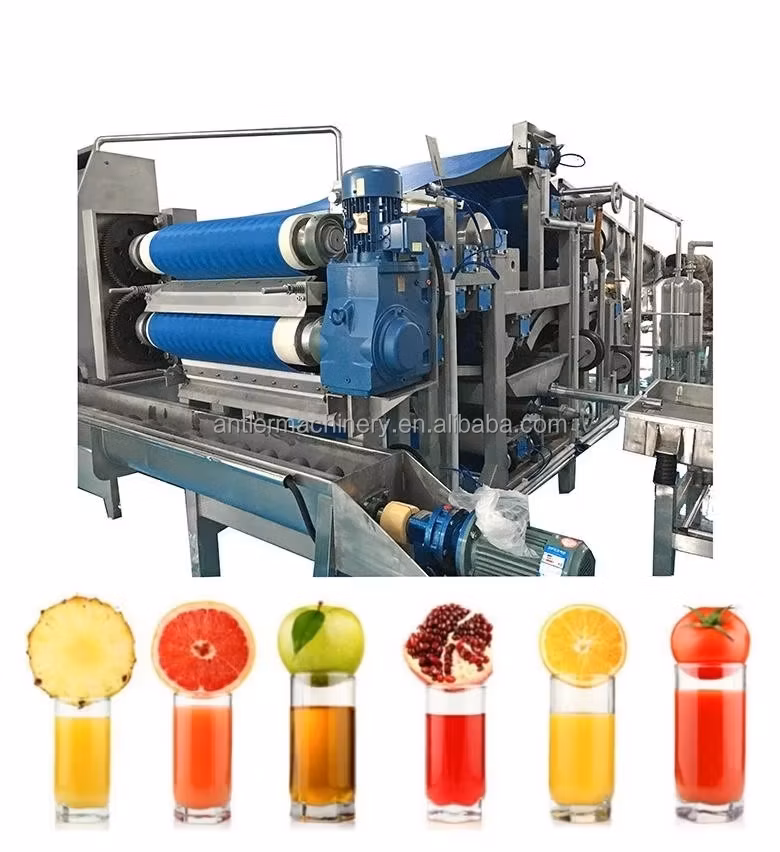 500kg/H Apple Juicer Fruit Juice Belt Press Juicing Machine/Belt Type Juice Extraction Equipment Extractor