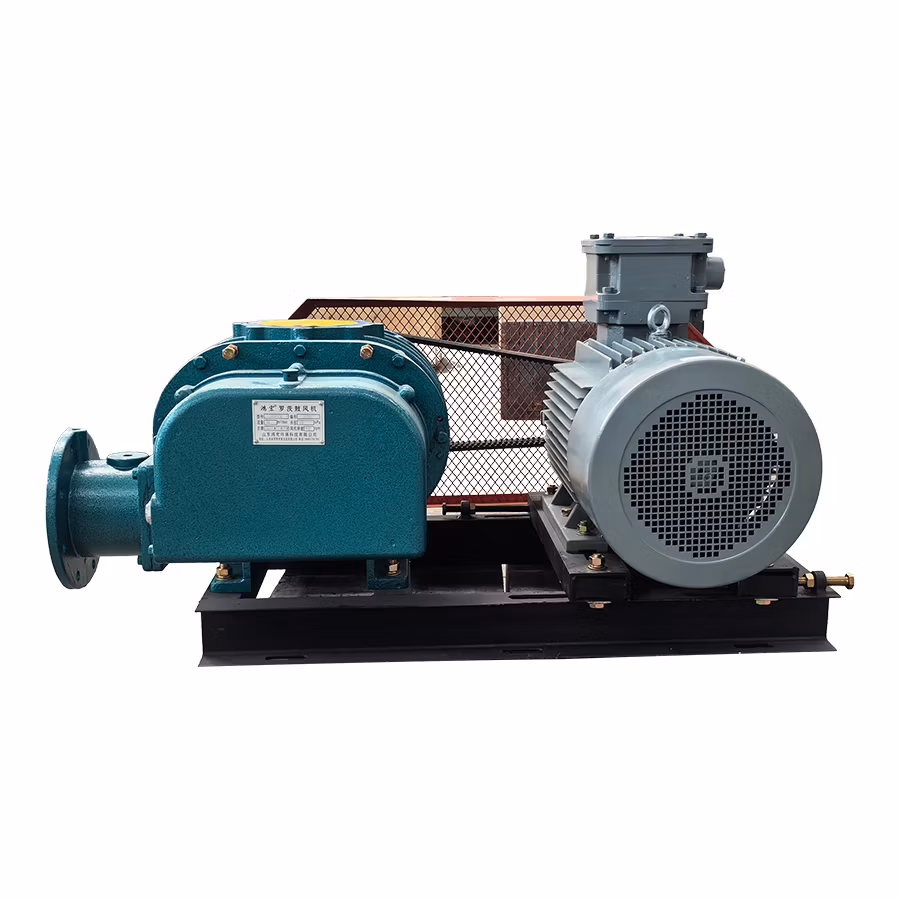 Versatile Roots Air Blower for Wastewater Aeration & Fine Powder Conveying