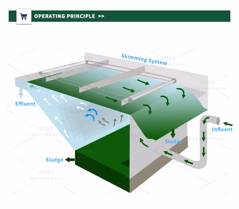 Customized Waste Water Treatment for Dairy Plant Horizontal Dissolved Air Flotation Machine