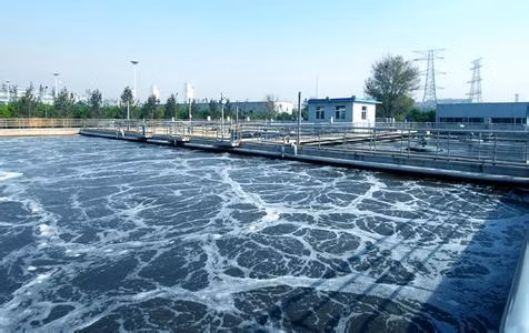 HDPE Material K1 K2 K3 K5 Mbbr Filter Meia PE75 PE08 for Aquarium and Sewage Treatment