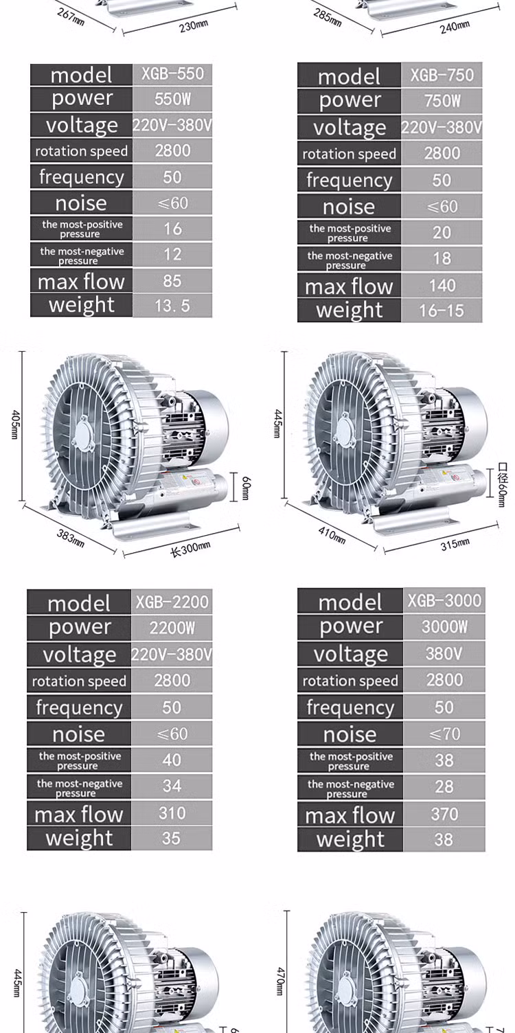 Industrial Adsorption 3kw High-Pressure Vortex Cyclone Machine for Aquaculture