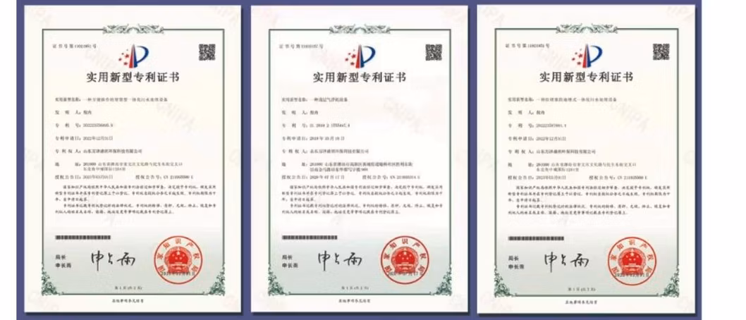 CE SGS ISO Solid and Liquard Separator Processor Dissolved Air Flotation for Wastewater