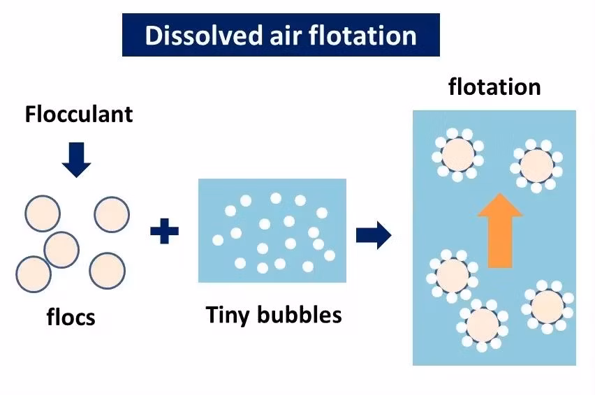 Second Hand New Solid and Liquard Separator Processor Dissolved Air Flotation for Wastewater