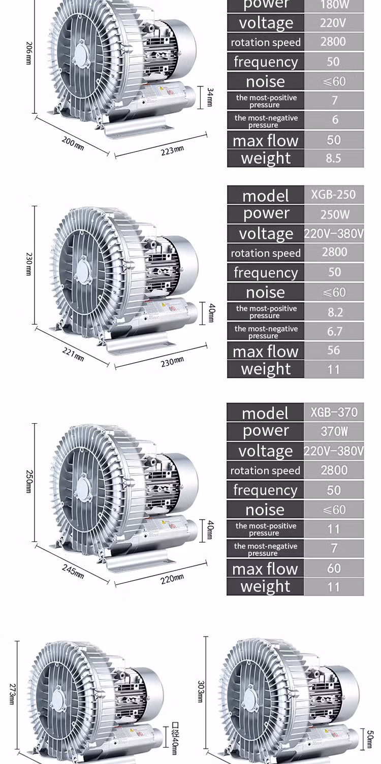 Industrial Adsorption 3kw High-Pressure Vortex Cyclone Machine for Aquaculture