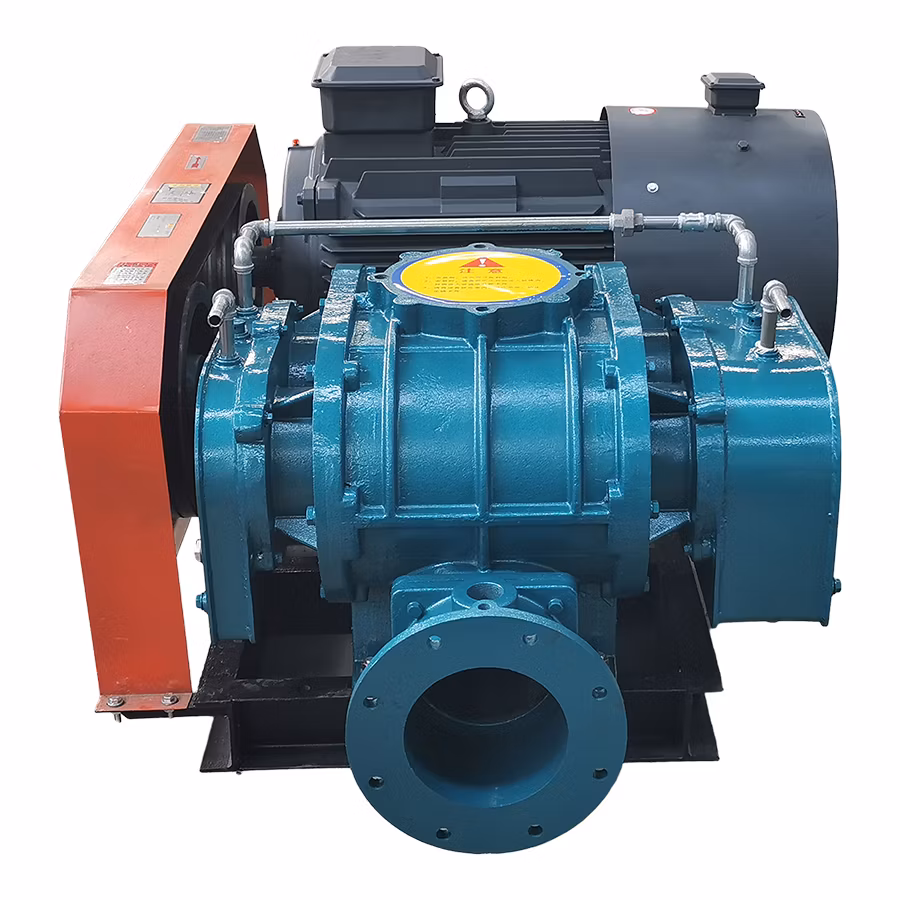 Versatile Roots Air Blower for Wastewater Aeration & Fine Powder Conveying