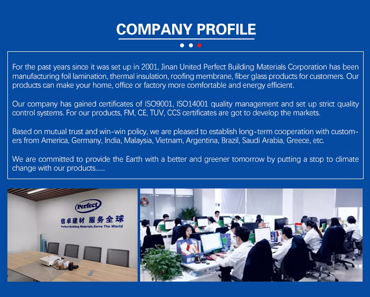 Fiberglass Fabric Cloth or Aluminum Fiberglass Fabric or Aluminized Fiberglass Fabric Wgf