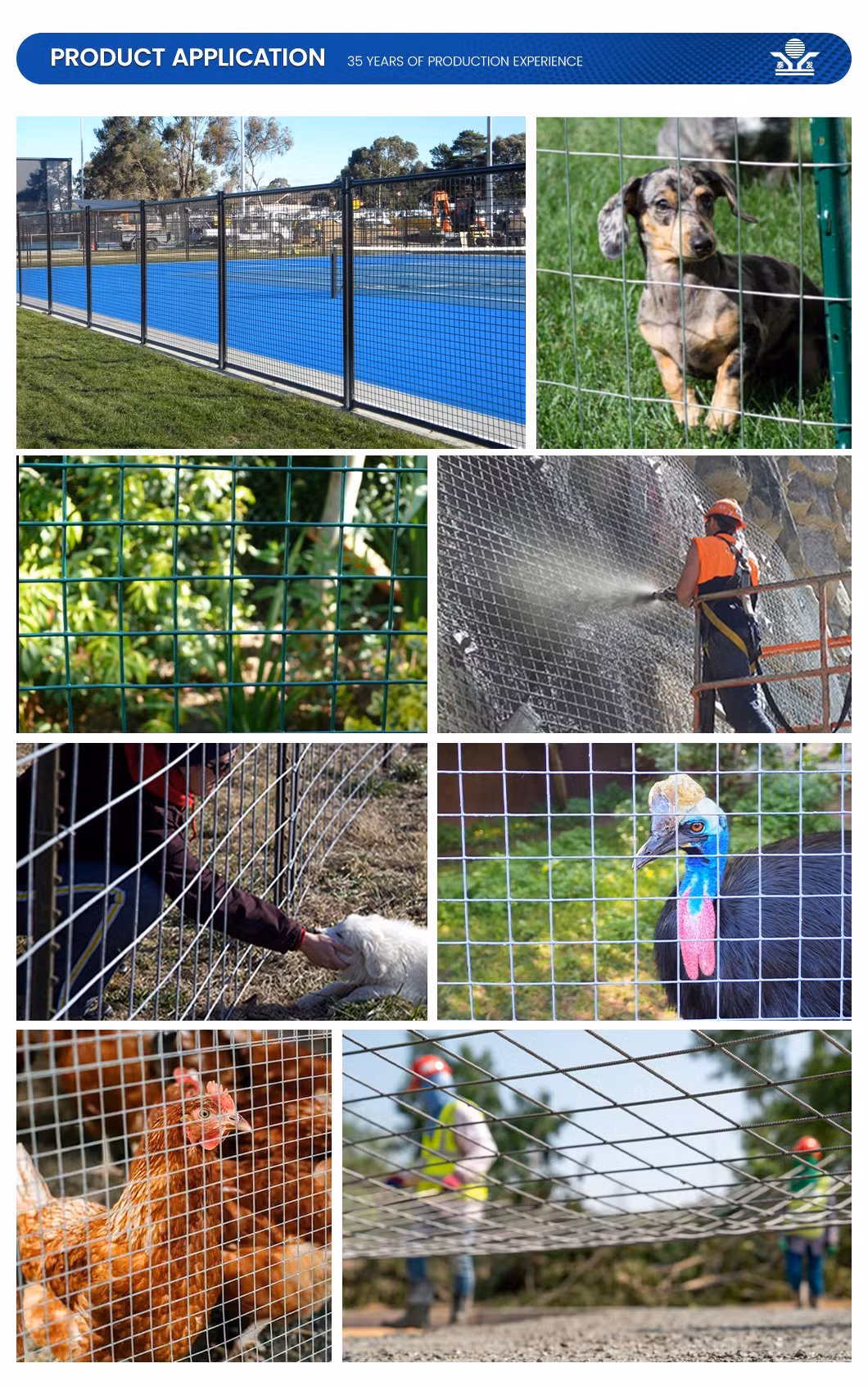 Zhongtai Welding Mesh/Metal Cage Wire Heavy-Duty Welding Metal Cloth Hot-DIP Galvanized After Welding