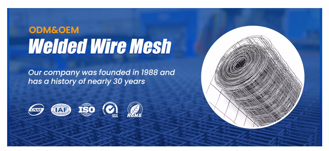 Zhongtai Welding Mesh/Metal Cage Wire Heavy-Duty Welding Metal Cloth Hot-DIP Galvanized After Welding